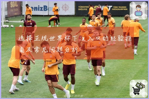 选择正规世界杯下注入口的经验指南及常见问题分析