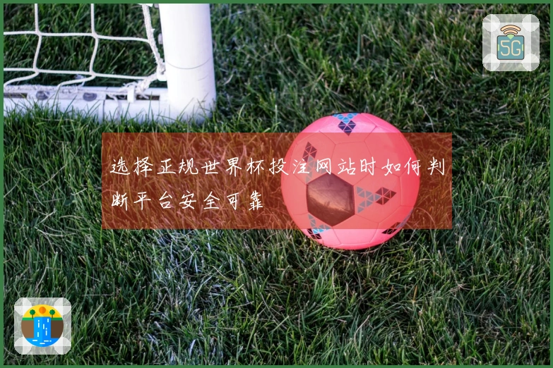 选择正规世界杯投注网站时如何判断平台安全可靠