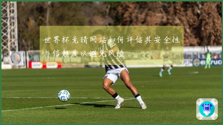 世界杯竞猜网站如何评估其安全性与信赖度以避免风险