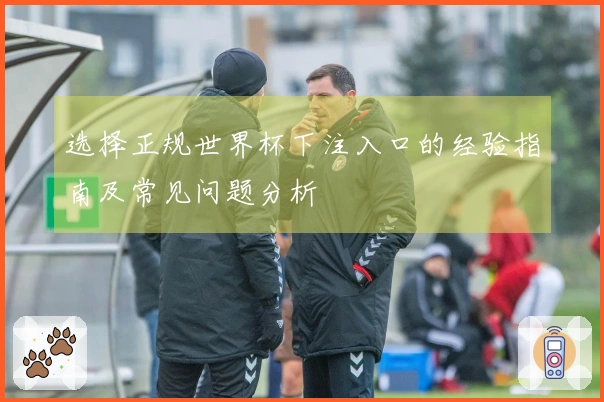 选择正规世界杯下注入口的经验指南及常见问题分析
