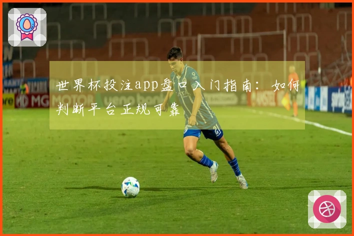 世界杯投注app盘口入门指南：如何判断平台正规可靠