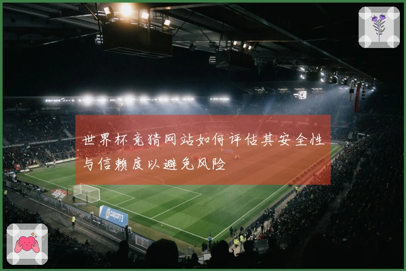 世界杯竞猜网站如何评估其安全性与信赖度以避免风险