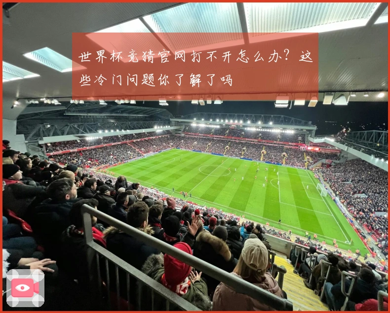 世界杯竞猜官网打不开怎么办？这些冷门问题你了解了吗