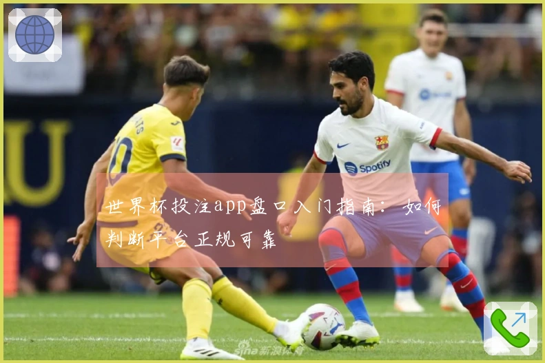 世界杯投注app盘口入门指南：如何判断平台正规可靠